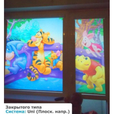 Рулонні штори закритого типу з фотодруком